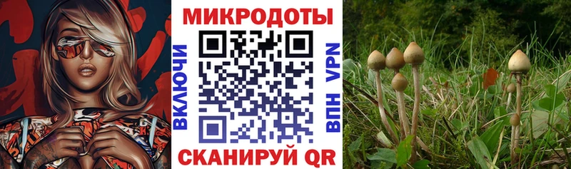 Галлюциногенные грибы MAGIC MUSHROOMS  цена наркотик  Пикалёво 